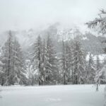 2024-02 - Randonnée dans les Hautes Alpes - J4 - Le long de la Guisane puis du Petit Tabuc - 014